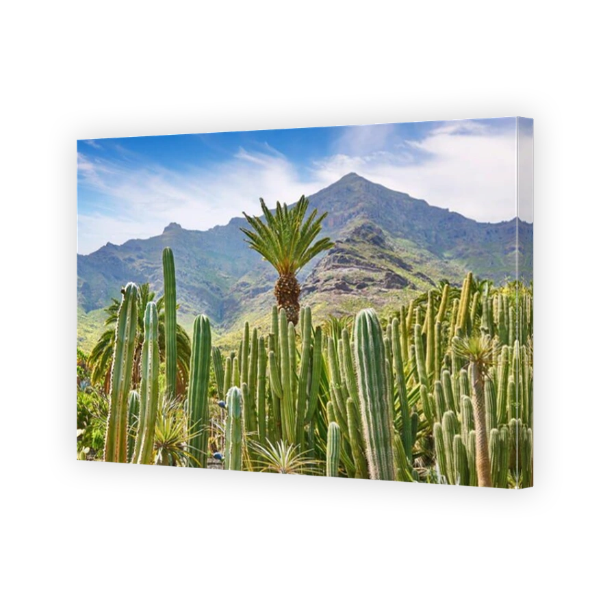 Cactus Garden landscape, Gran Canaria, Spain