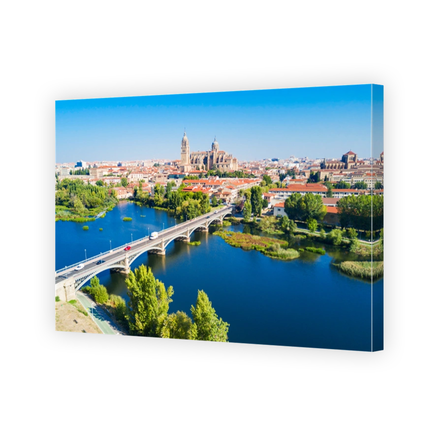 Salamanca Cathedral in Salamanca, Spain