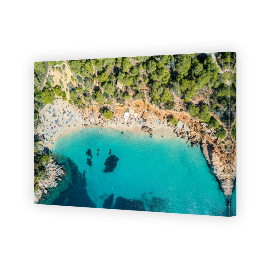 Aerial view of Cala Saladeta in Ibiza