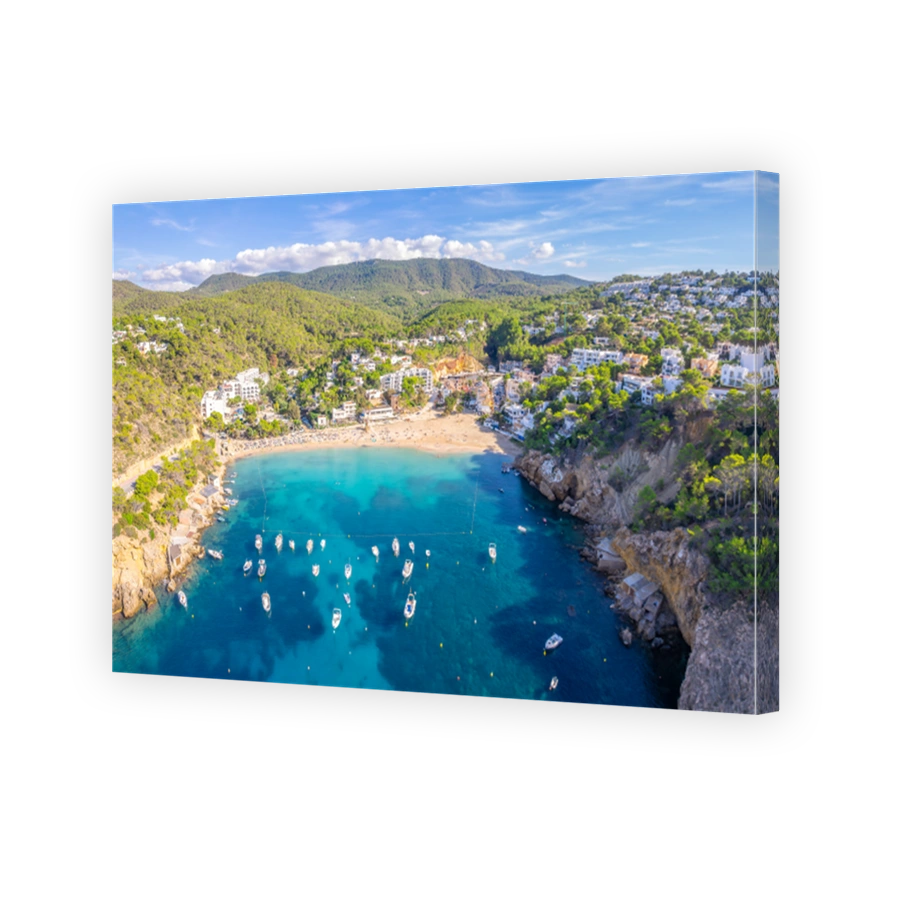 Aerial view of Cala Vadella, Ibiza