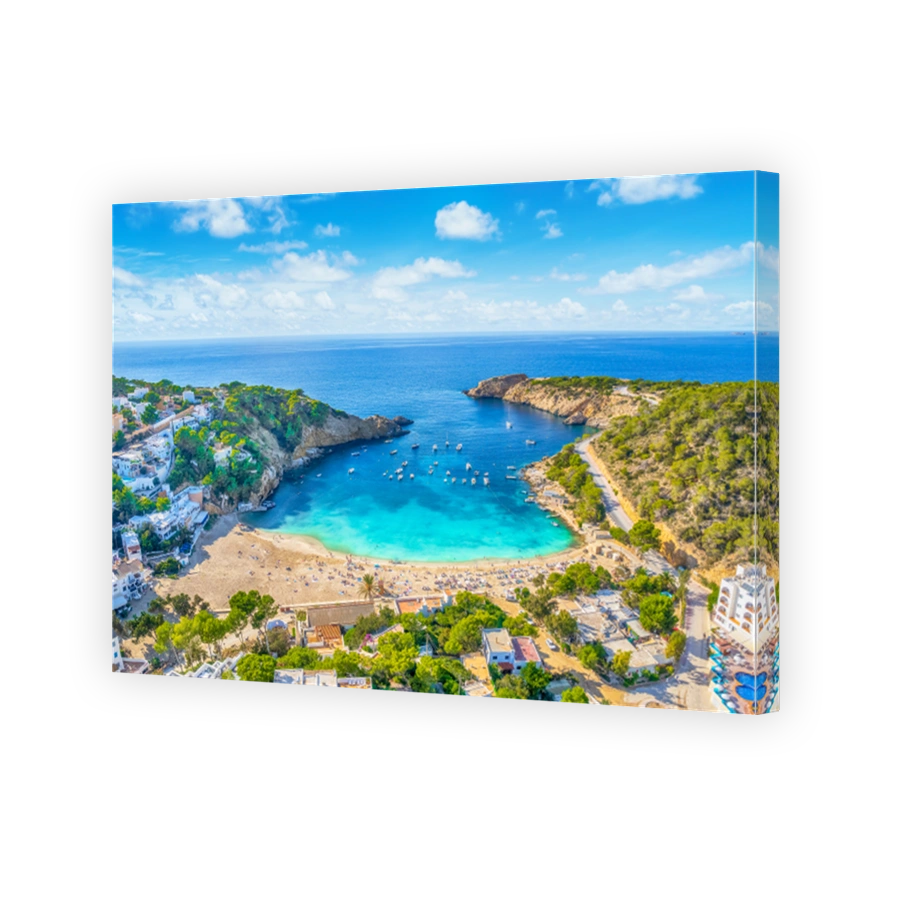 Aerial view of Cala Saladeta, Ibiza