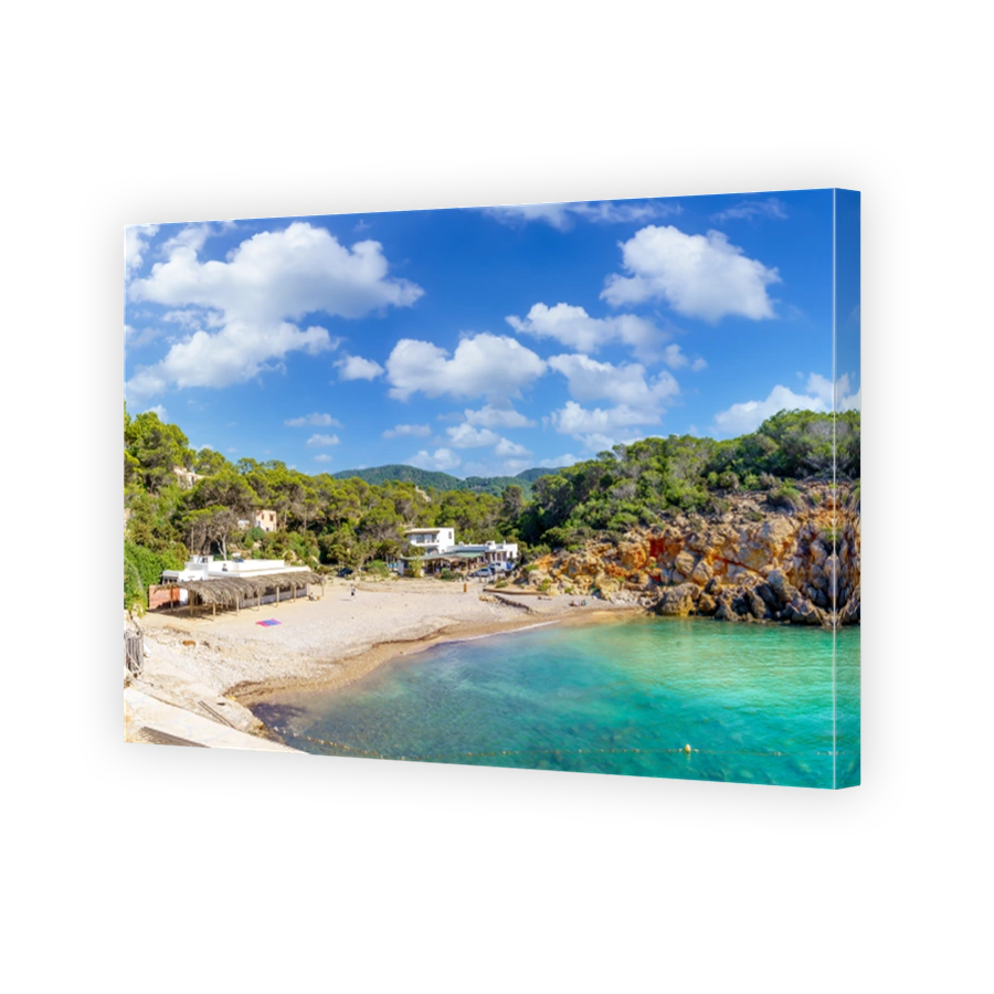 Landscape with Cala Carbo, Ibiza islands