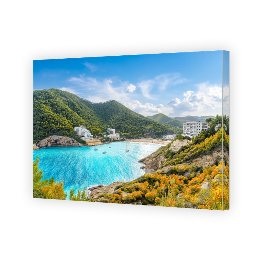 Landscape with Cala Llonga, Ibiza island