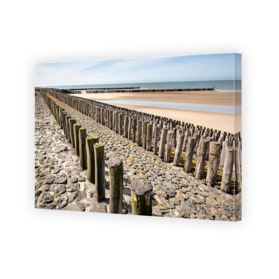 Netherlands, Breskens, Wooden poles as breakwater to protect against waves of North Sea