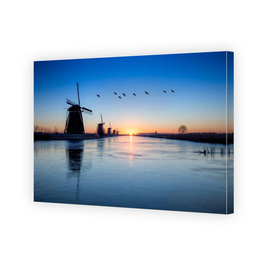 Heron flying over the frozen Kinderdijk Sunrise