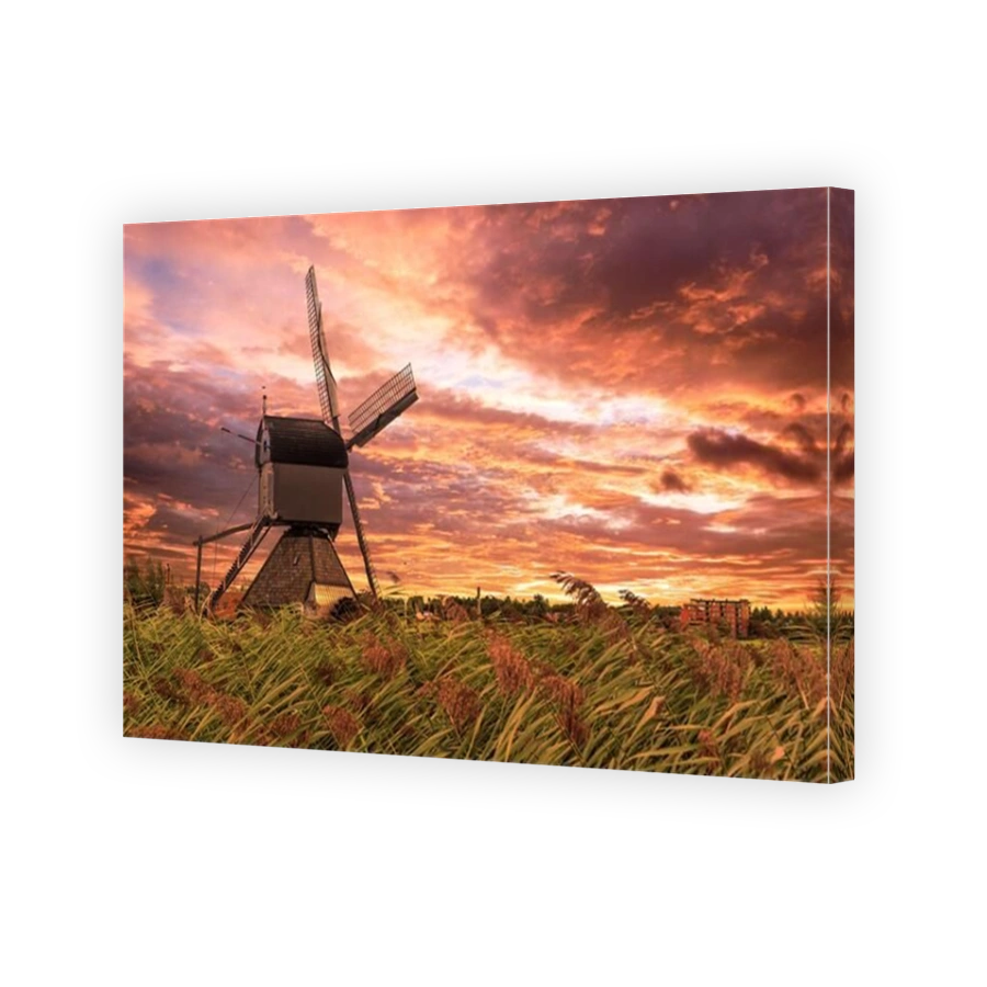 Dutch windmill above the fence of wild grass blown by strong winds
