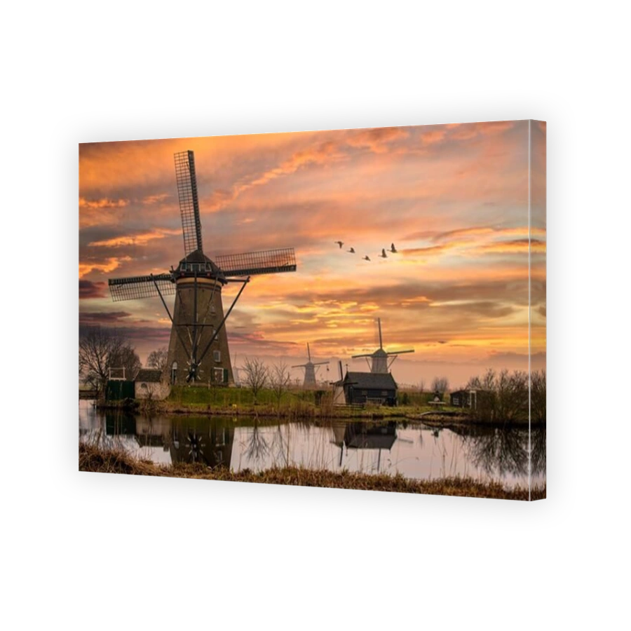 Group of geese flying above the Dutch windmills during the sunset moment