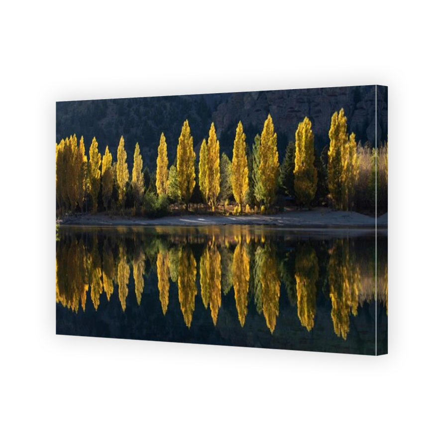 Autumnal Poplar Trees Reflected in Lake, Patagonia