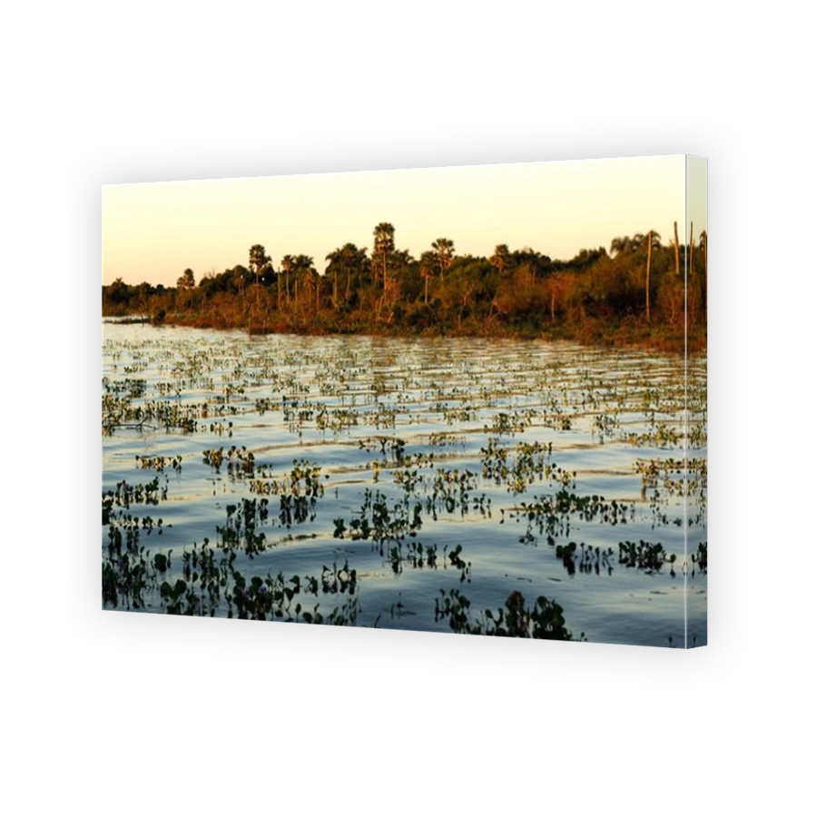 Argentina South America Lago Ibera Esteros del Ibera Carlos Pellegrini Corrientes South America lake water tw