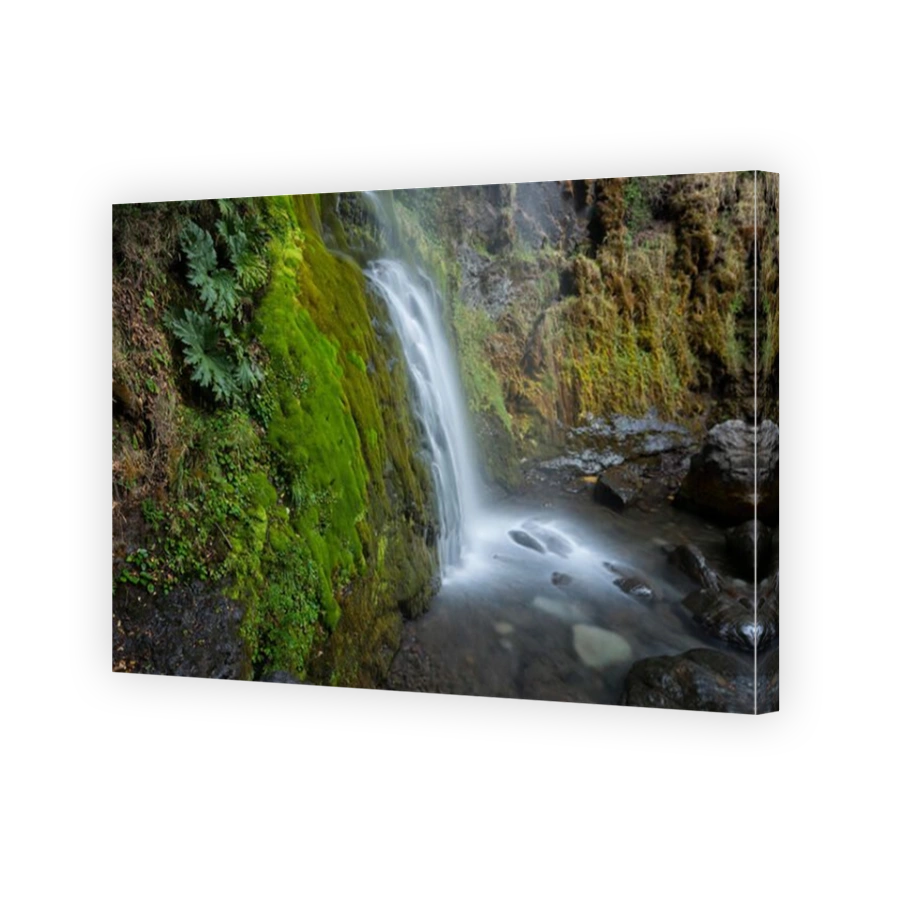 South America,Argentina,Patagonia,Rio Negro,Esquel,waterfall in the Los Alerces National park,