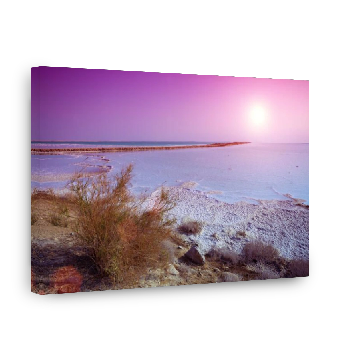 Dead sea salty shore