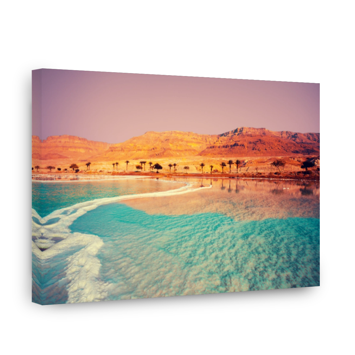 Dead Sea seashore with palm trees and mountains on background