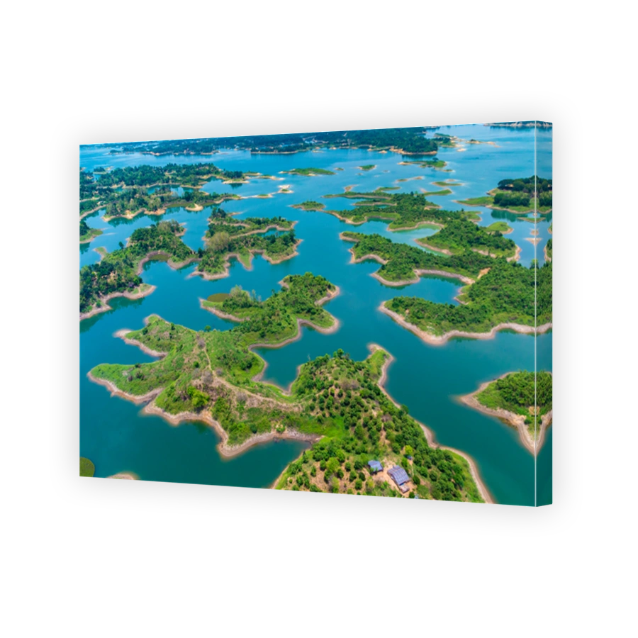 Aerial View Of Sea And Trees