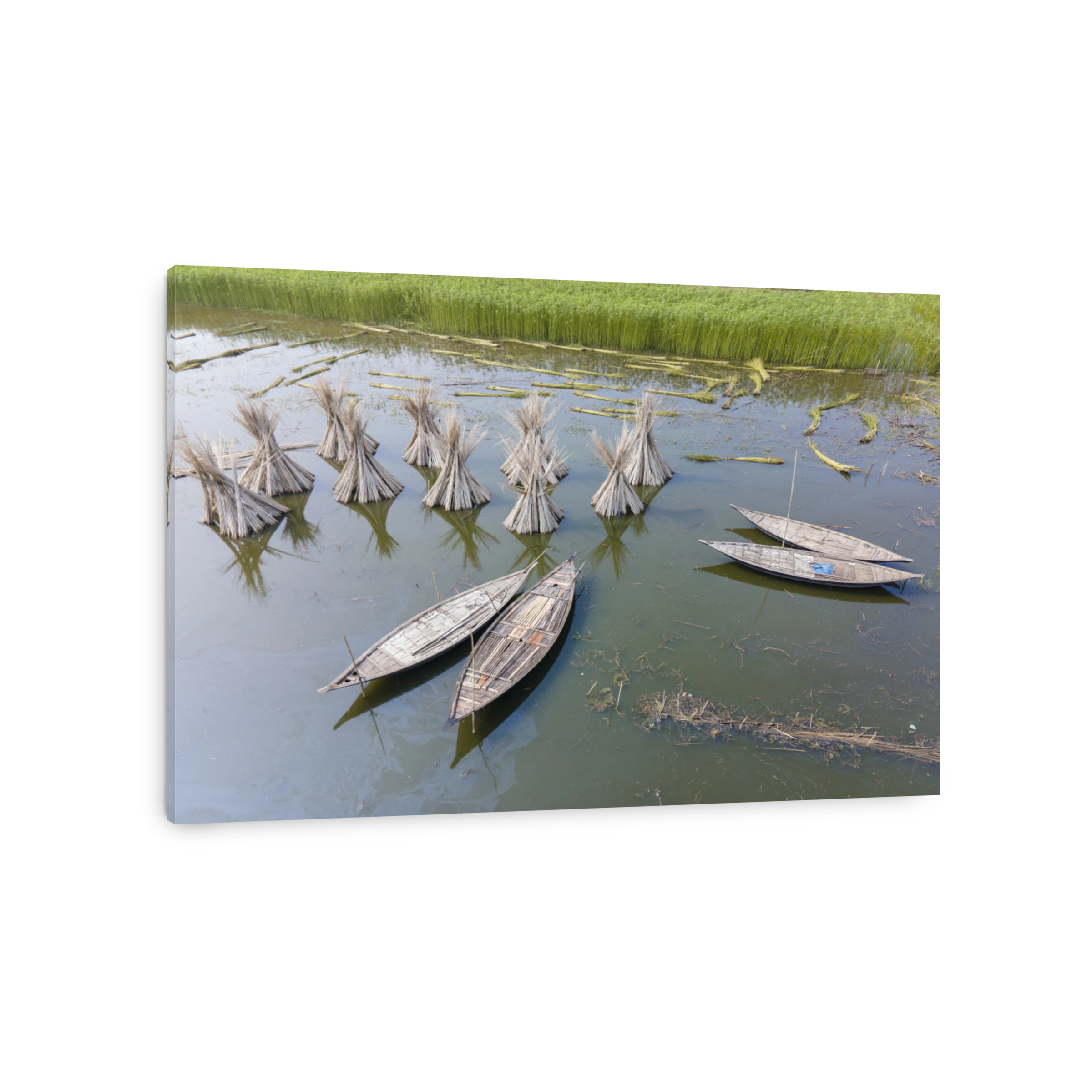 High Angle View Of Boat In Jute Field