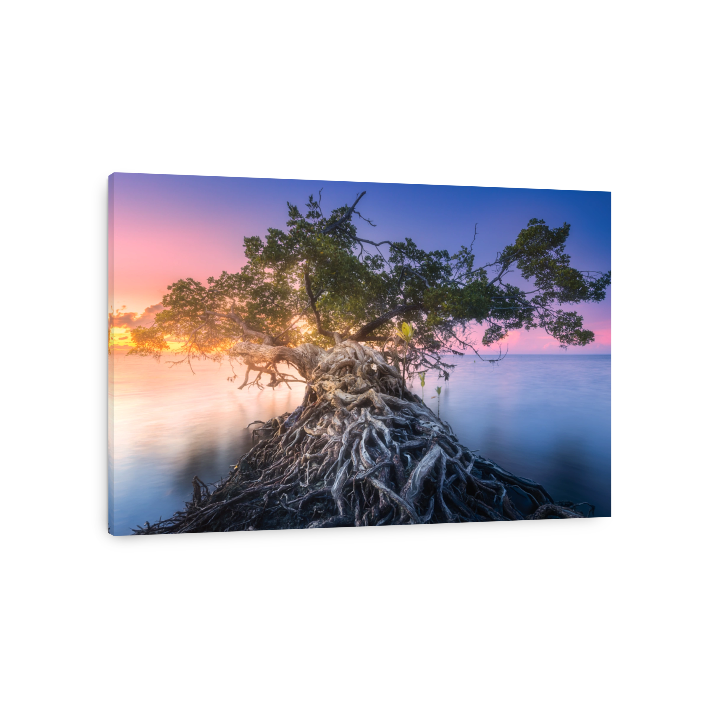 Tropical beach on sunset