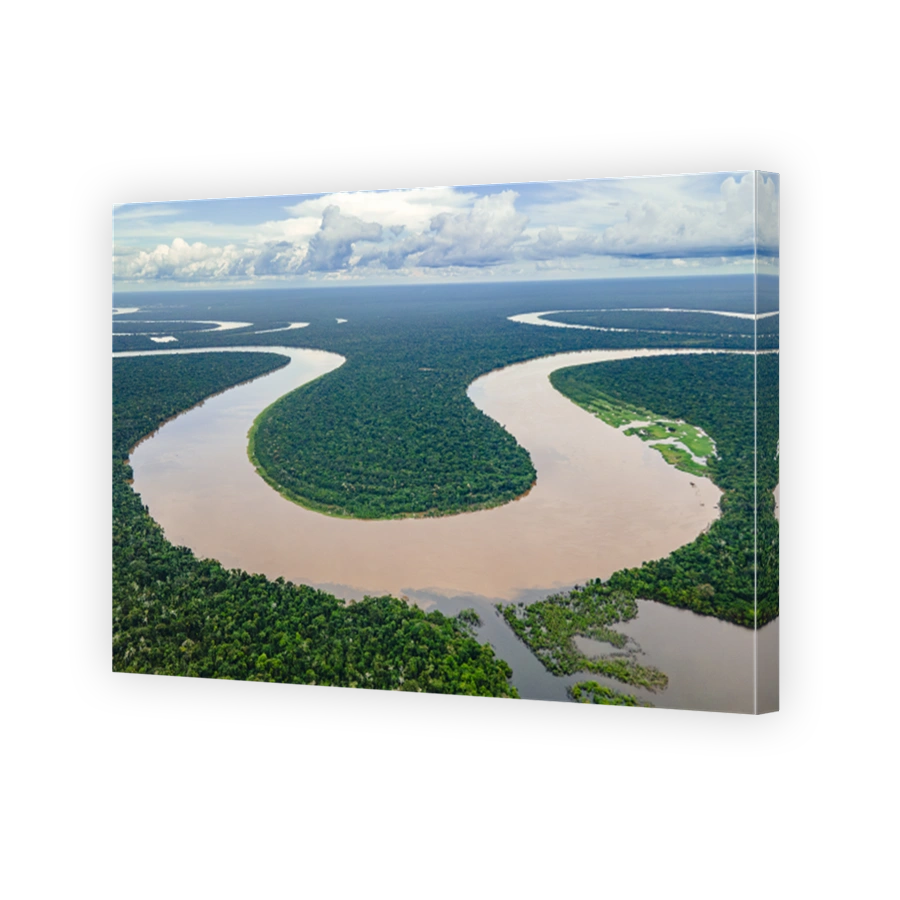 Aerial View of Amazon River in Colombia