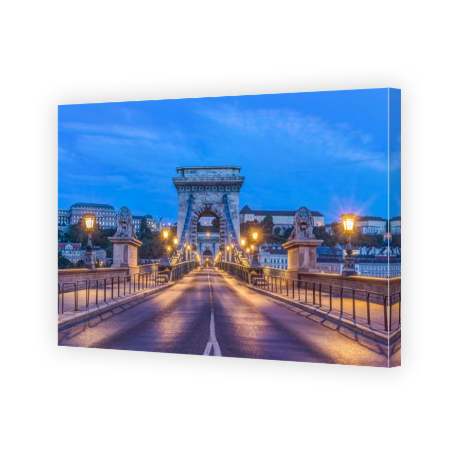 Lion statues and illuminated streetlamps along Chain Bridge, Budapest, Hungary