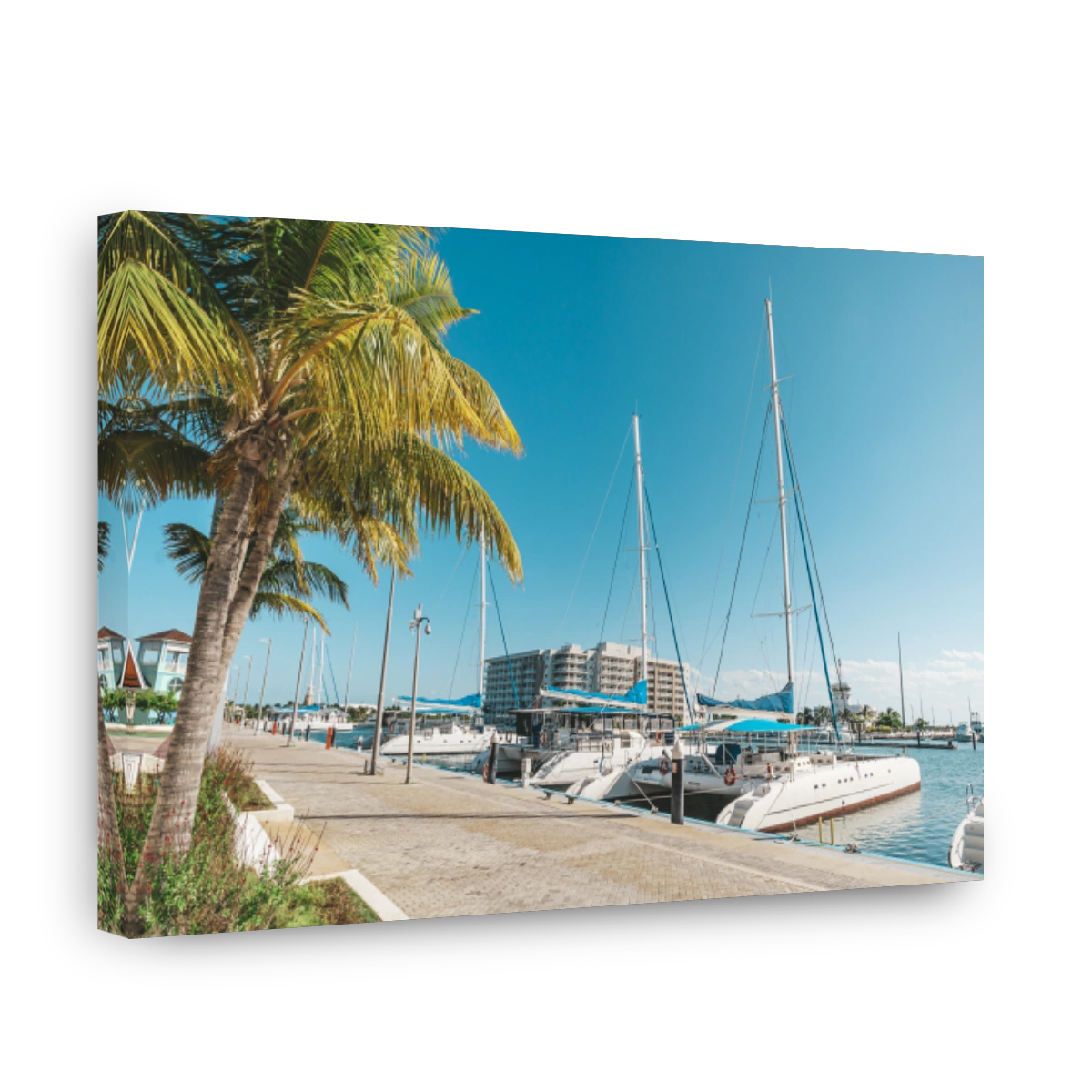 Luxury sailing, motor yachts and catamarans. Cruise ships, recreational boats anchored in the sea port.