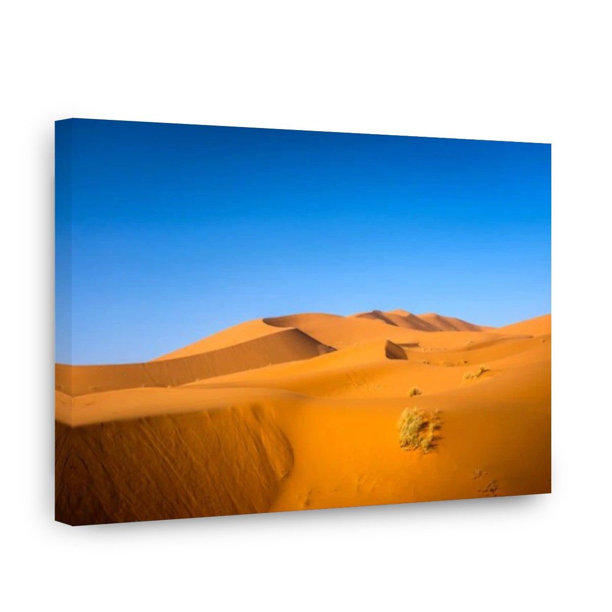 MEKNES - TAFILALET, MOROCCO - CIRCA APRIL 2017: Morning light  over the dunes of the Sahara Desert