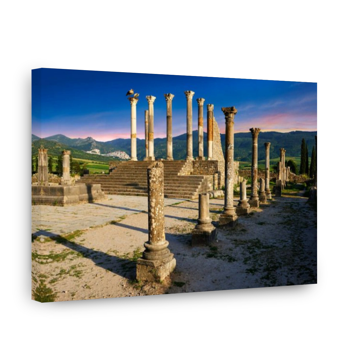 The Corintian columns of Capitoline Temple Volubilis Archaeological Site,  Morocco