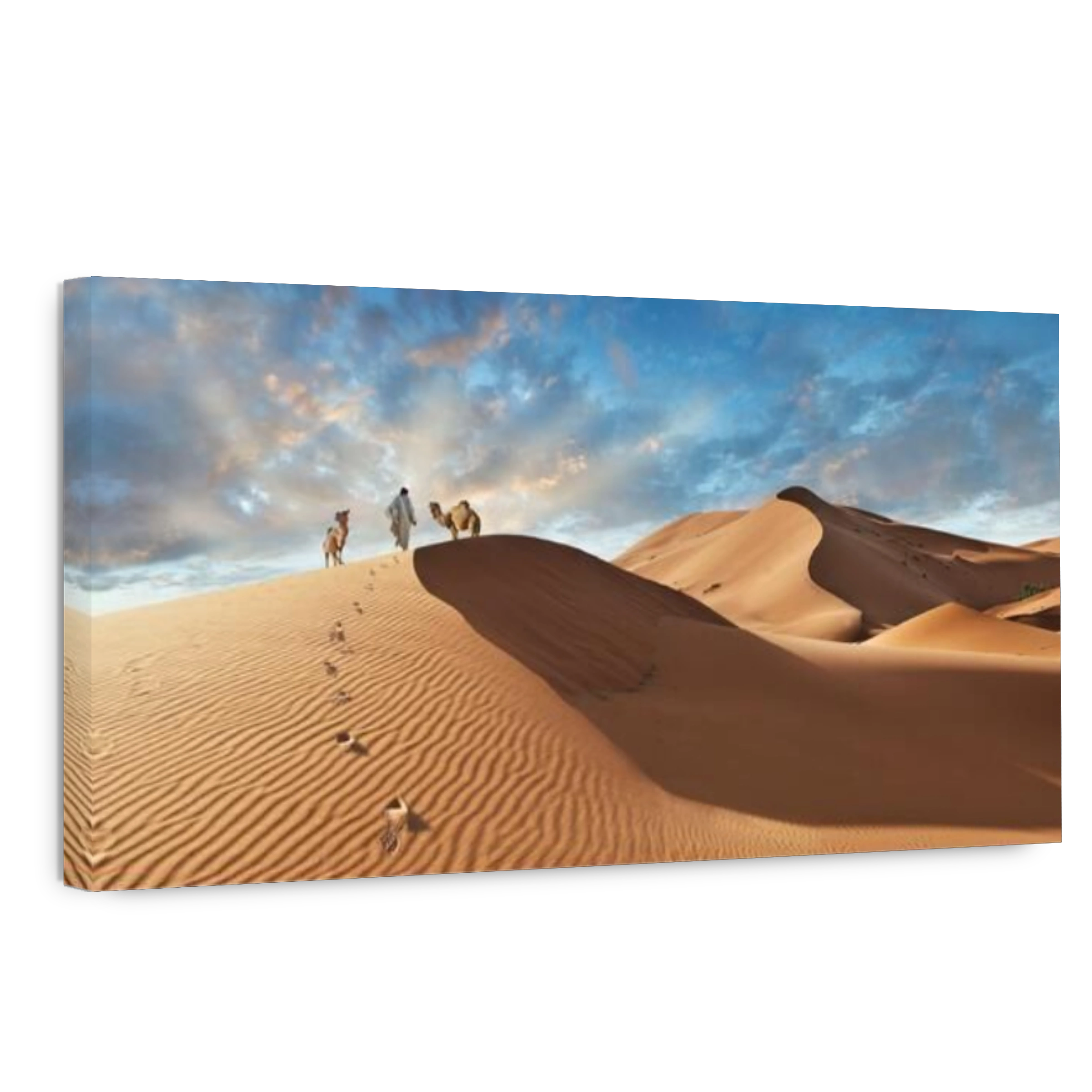 Man walking in the  beautiful Erg Chebbi Saharah Sand Dunes, Sahara, Morocco  at sunrise panoramic landscape