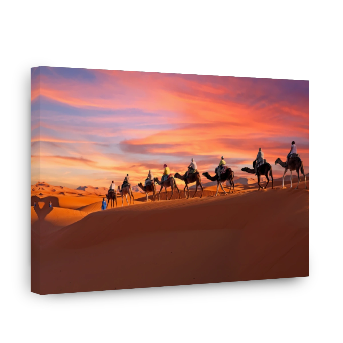 Camel caravan going through the Sahara desert in Morocco at sunset