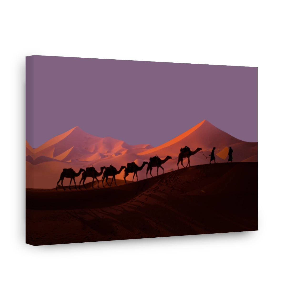 Camel caravan in the desert at sunrise -  Sahara, Morrocco