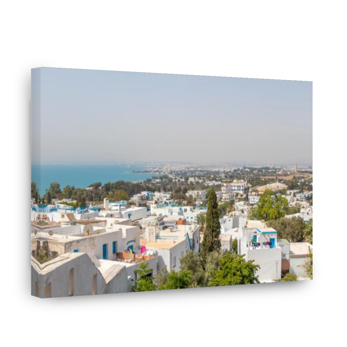Cityscape with typical white blue colored houses in Sidi Bou Said,Tunisia, Africa