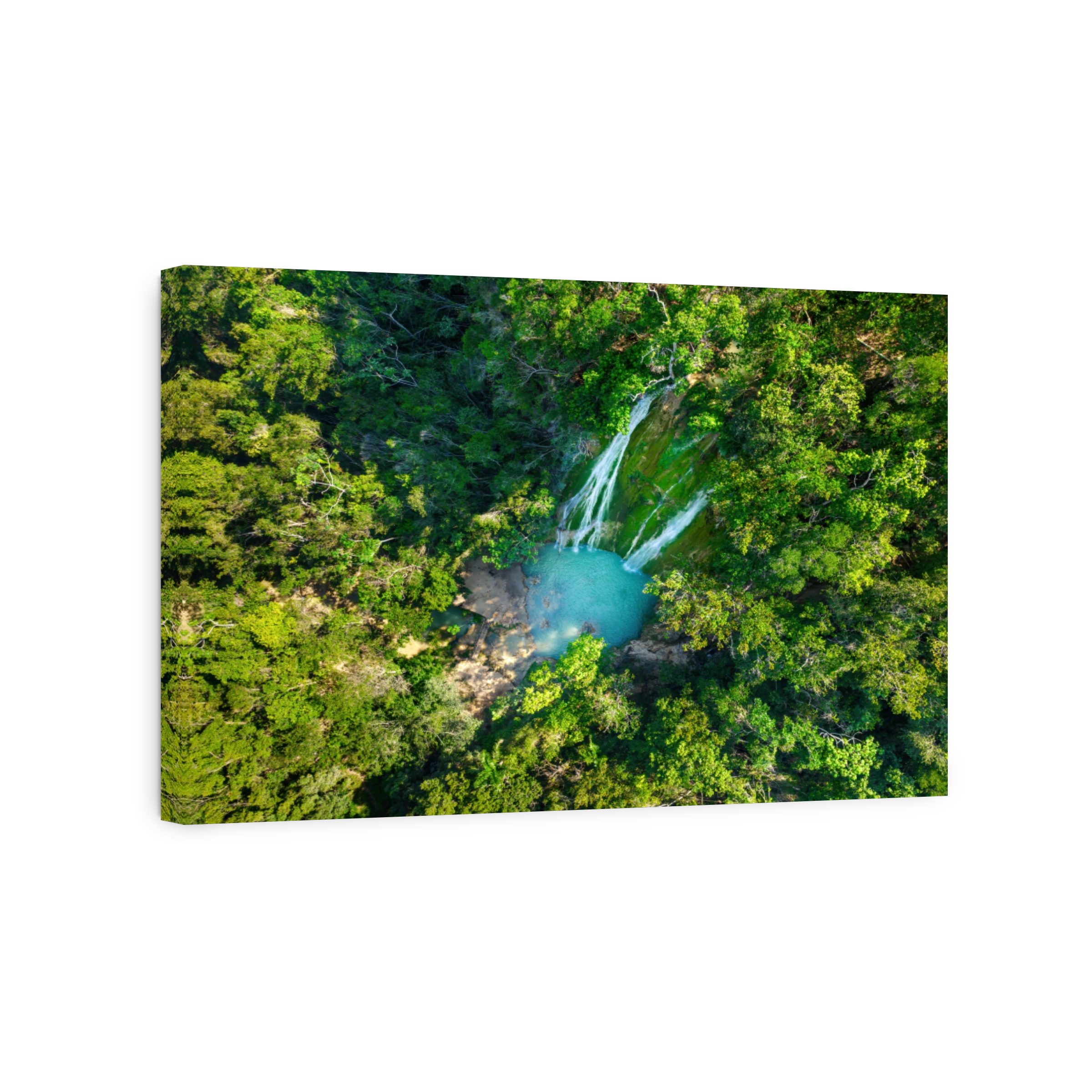 Beautiful tropical rainforest and waterfall El Limon in the mountan, Samana island, Dominican Republic. Famous place for tourism in Dominicana