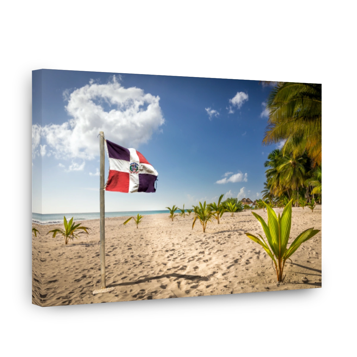 Caribbean beach and Dominican Republic flag