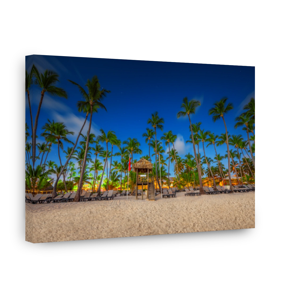 Palm tree on the tropical beach. Punta Cana