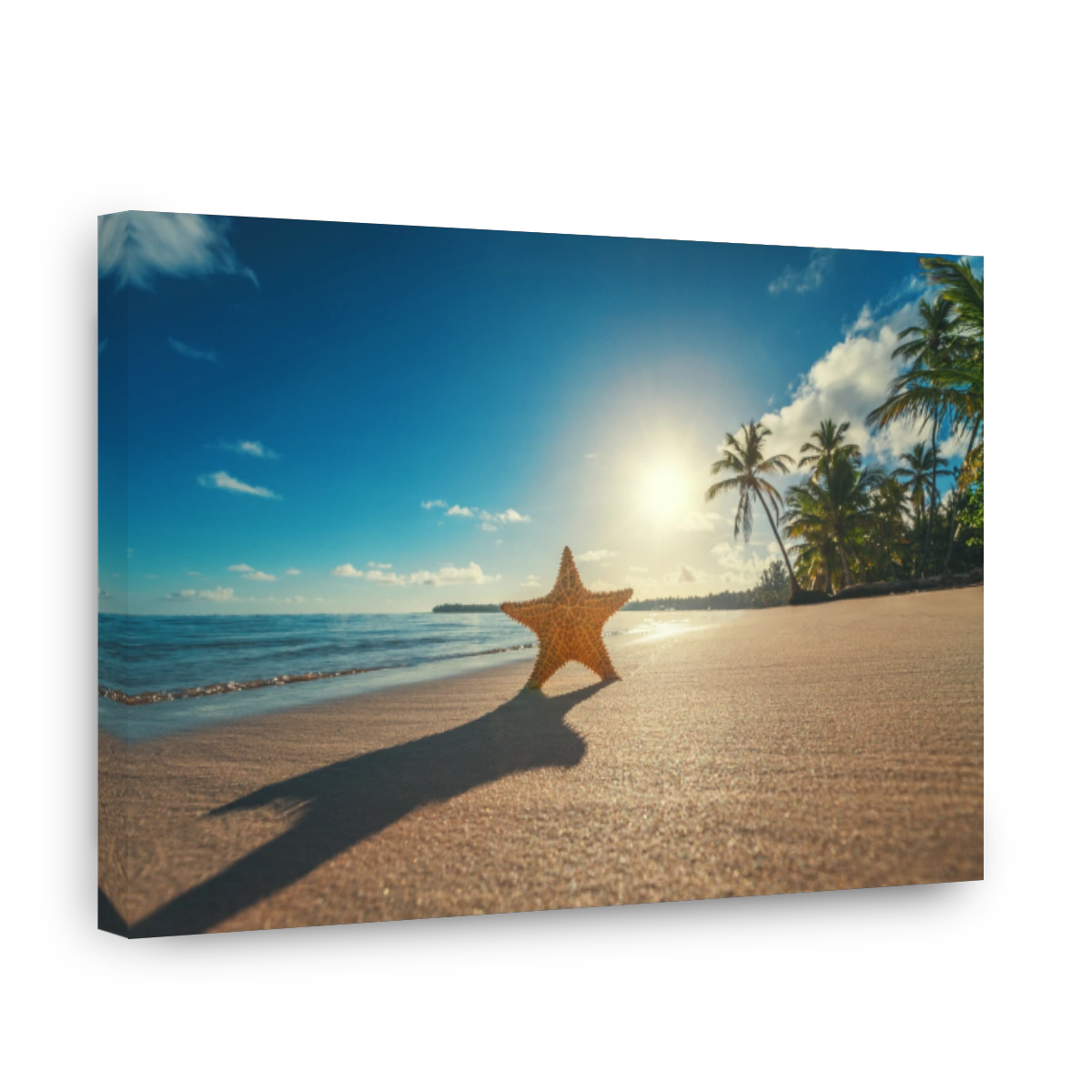 Seastar or sea starfish standing on the beach