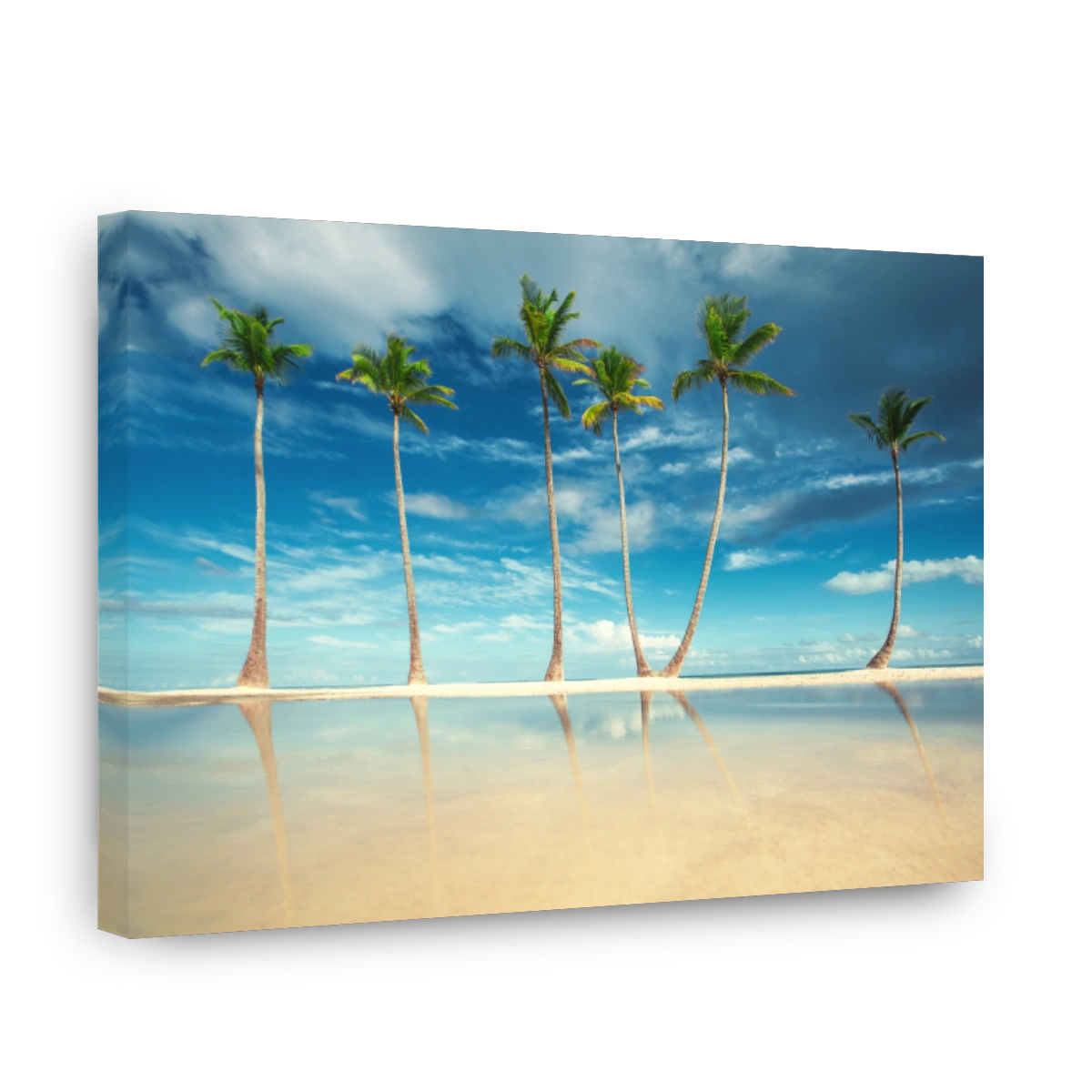 Coconut Palm trees on white sandy beach in Punta Cana, Dominican Republic.