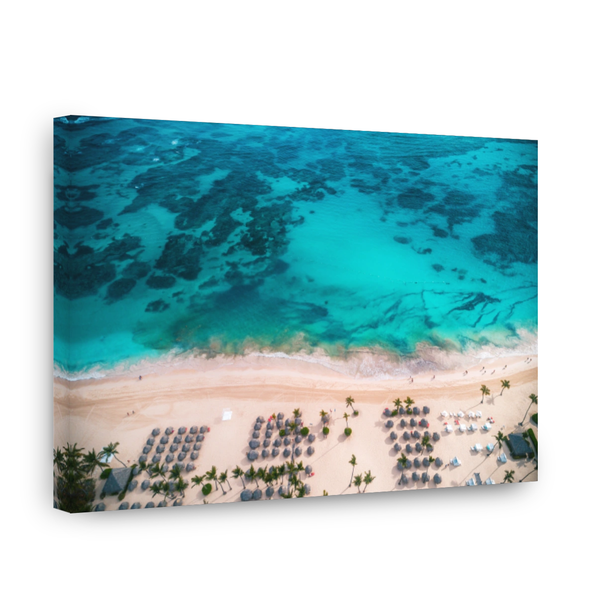 Aerial view of tropical island beach, Dominican Republic