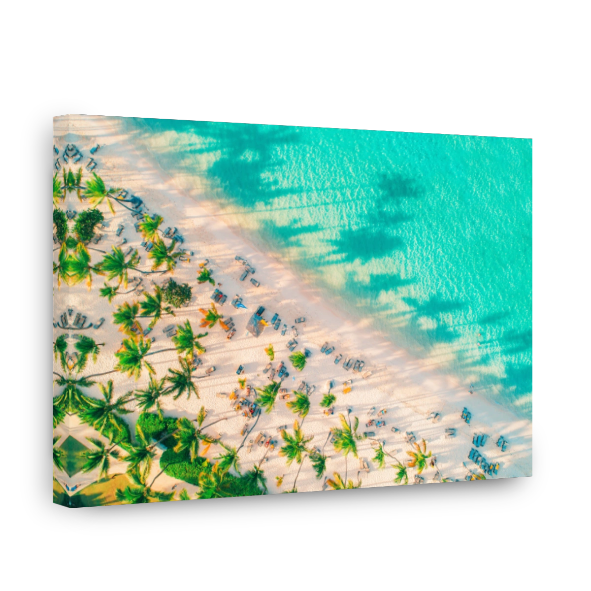 Aerial view of exotic tropical beach and sea