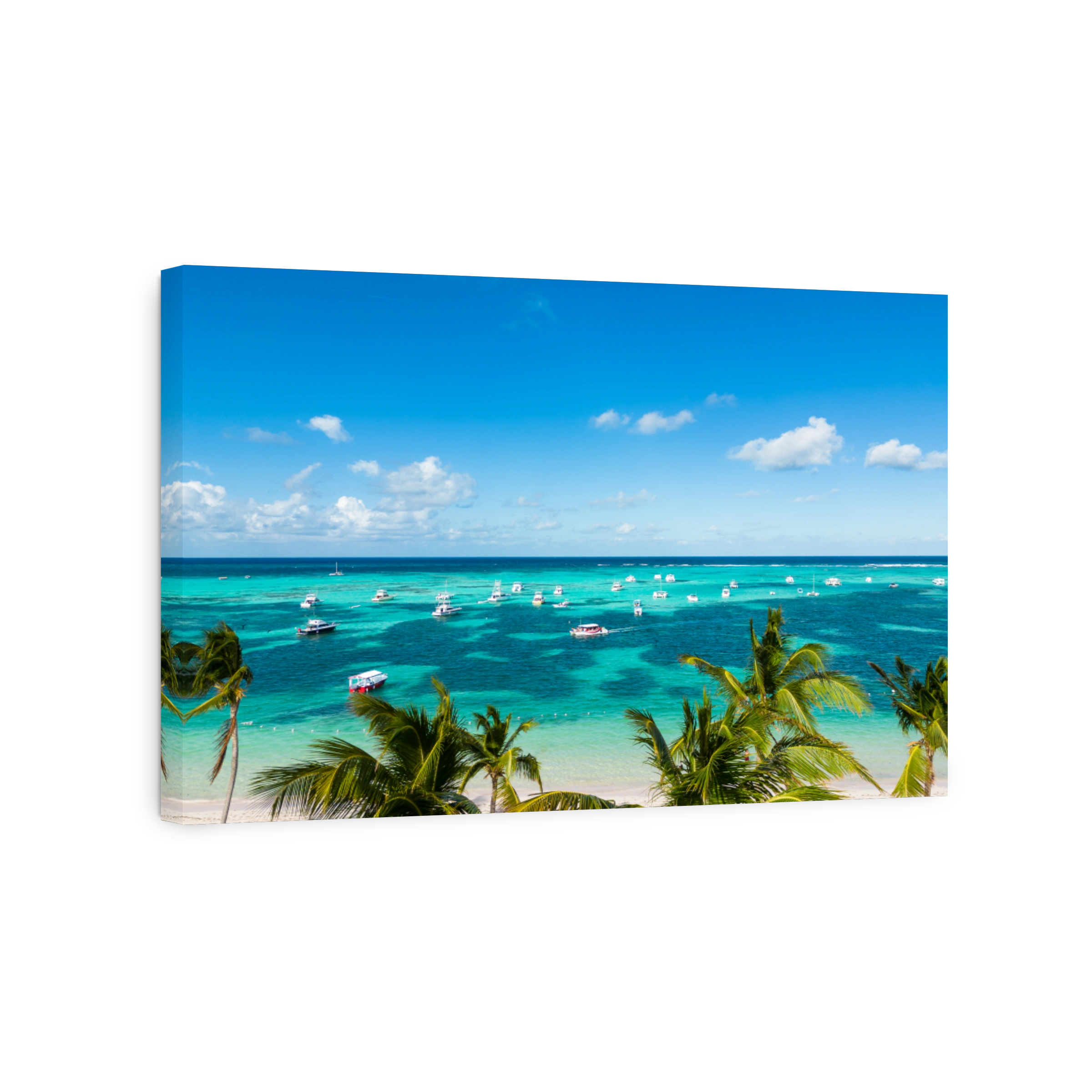 Aerial view through the green palm trees of many anchoring yachts and tourist boats in the turquoise Caribbean sea. Clear blue sky on the horizon. Fishing and vacation in Punta Cana