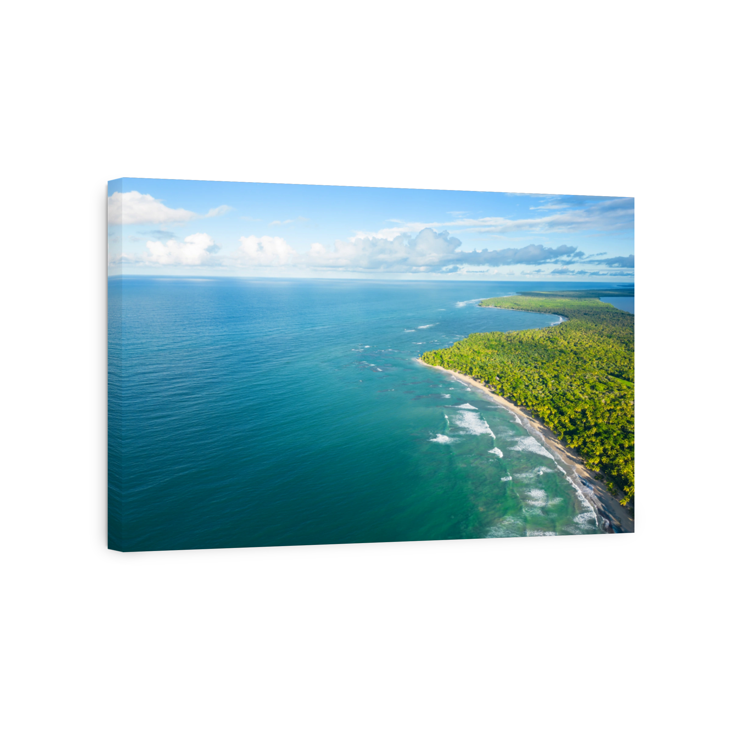 Aerial panoramic view of wild beach with green palm trees on the shore. Beautiful landscape with blue sky and turquoise sea water. Best places for summer vacations