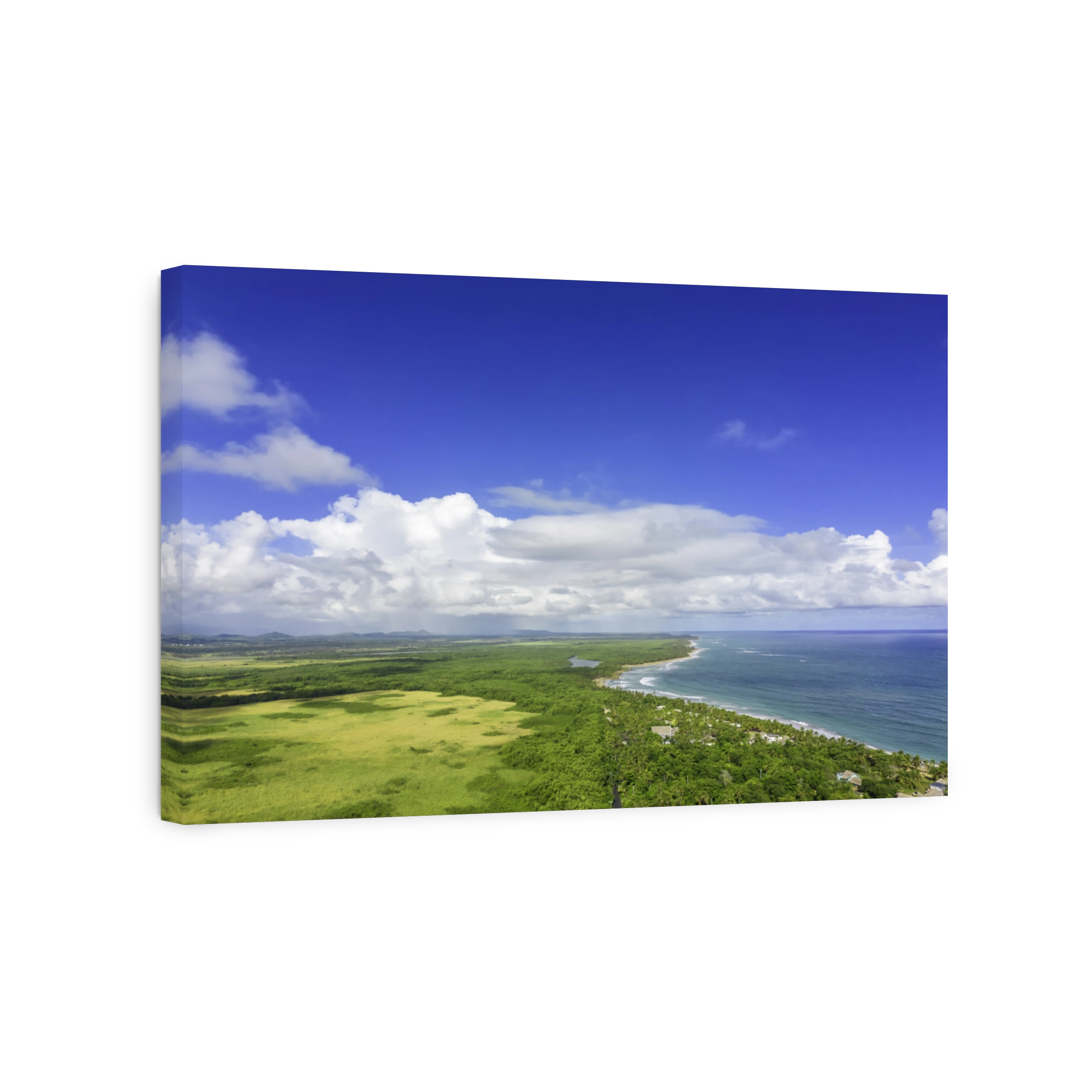 High panoramic aerial view of the Caribbean sea shore and green meadows. Long tropical beach with white sand and beautiful turquoise water. Dominican Republic, Punta Cana