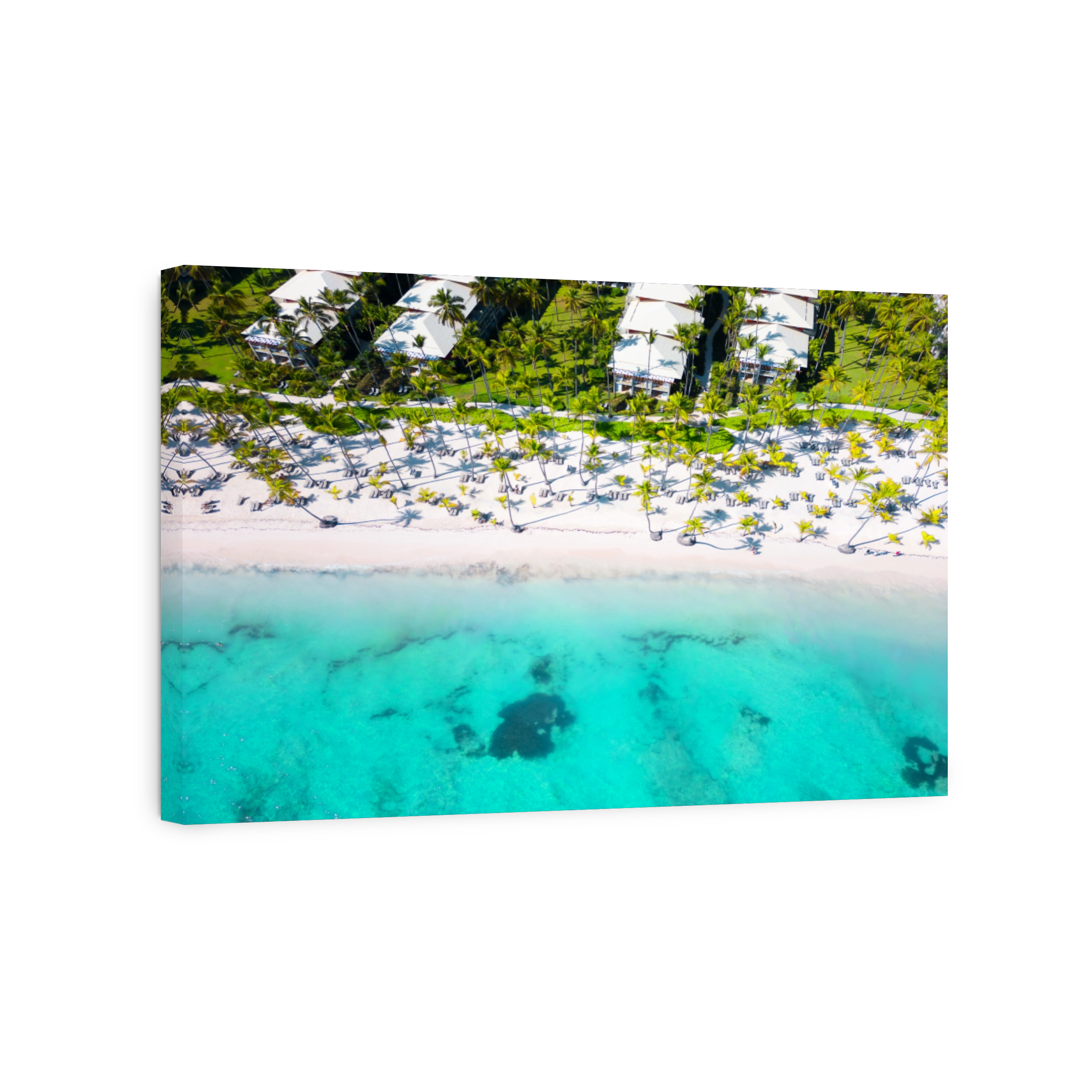 Aerial top view tropical hotel beach with white sand and palm trees. Turquoise water of the Caribbean sea. Best place for summer vacations