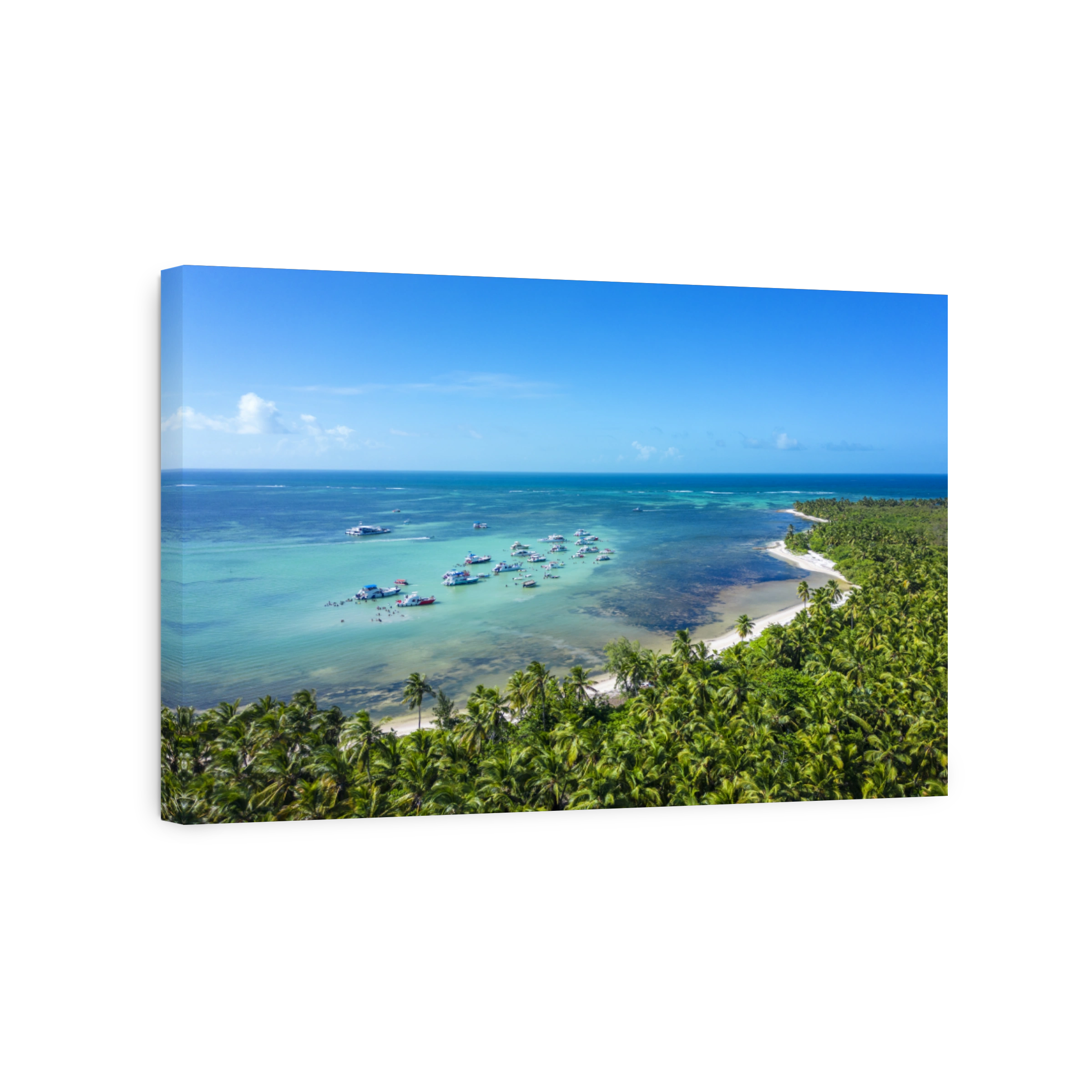 Aerial view of the yachts moored in beautiful lagoon with turquoise sea water on the shore of a wild tropical beach with palm trees and white sand