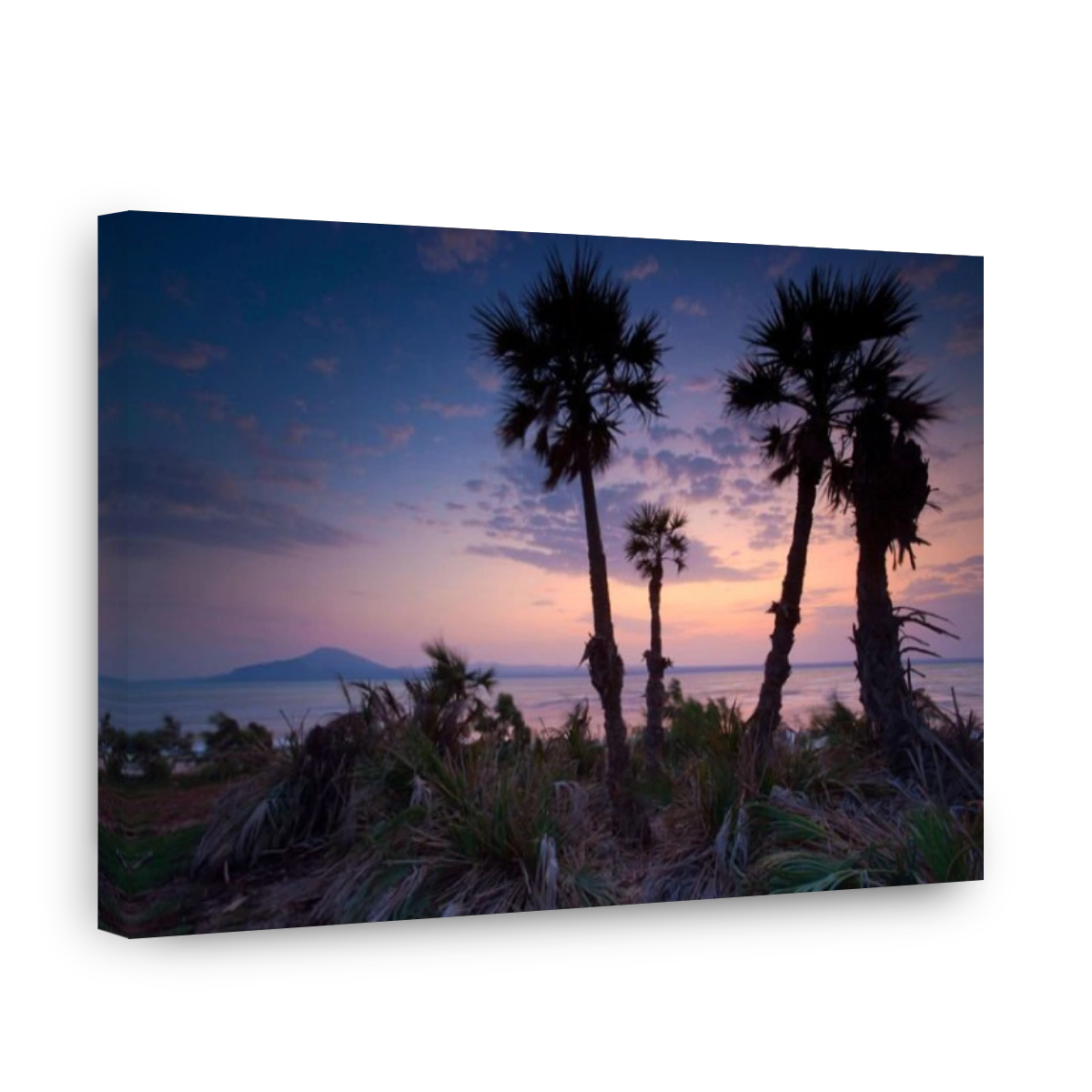 Salt lake, Afrera, Africa, Ethiopia, Afar region, Afgar, lake, salt lake, lake shore, morning mood, trees, palms