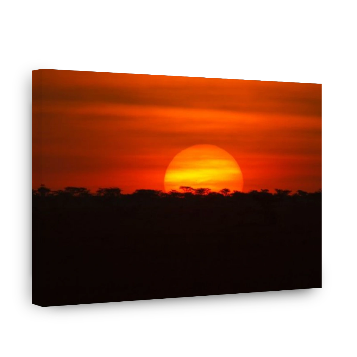 Sunset over savanna Ethiopia.