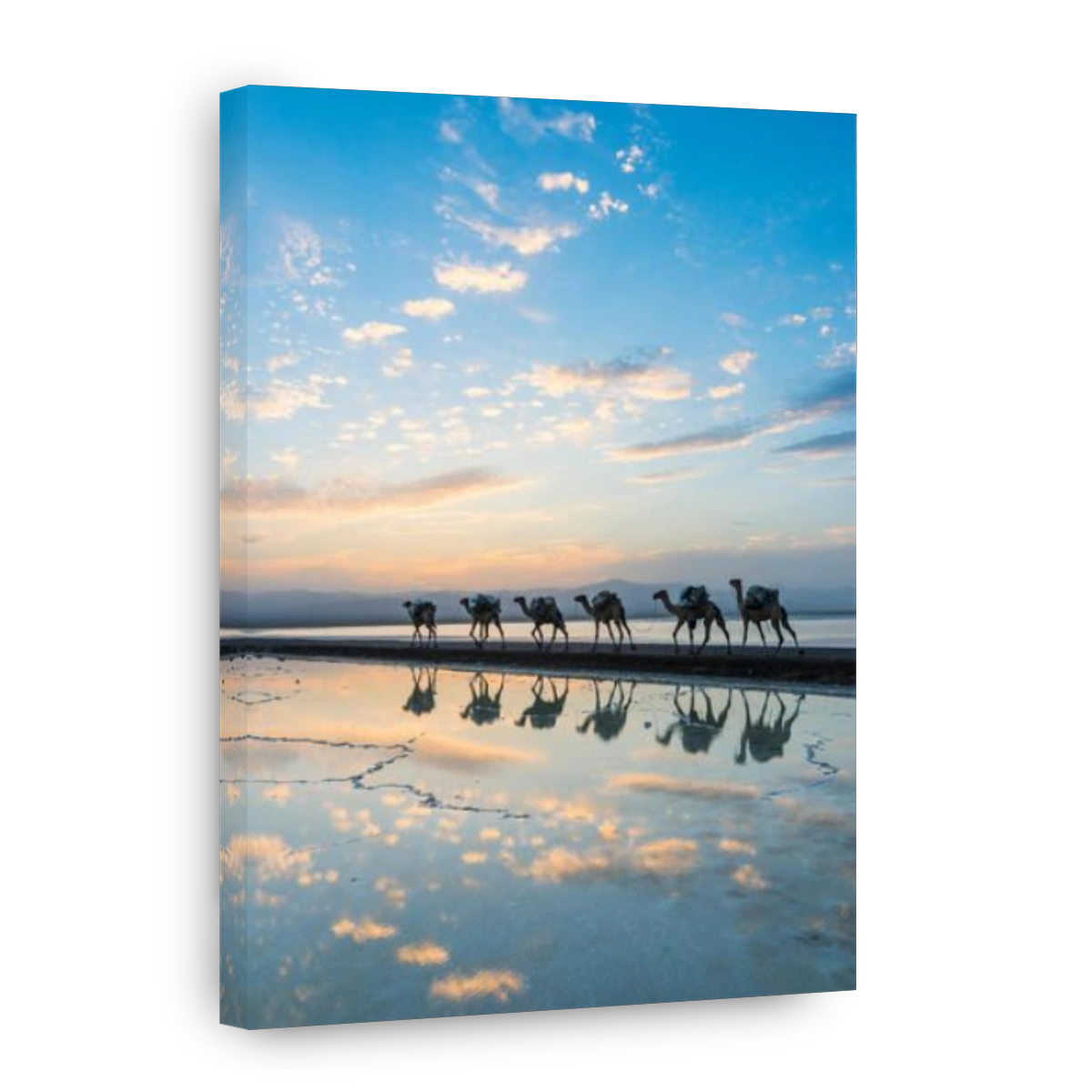 Camels walking through a salt lake at sunset