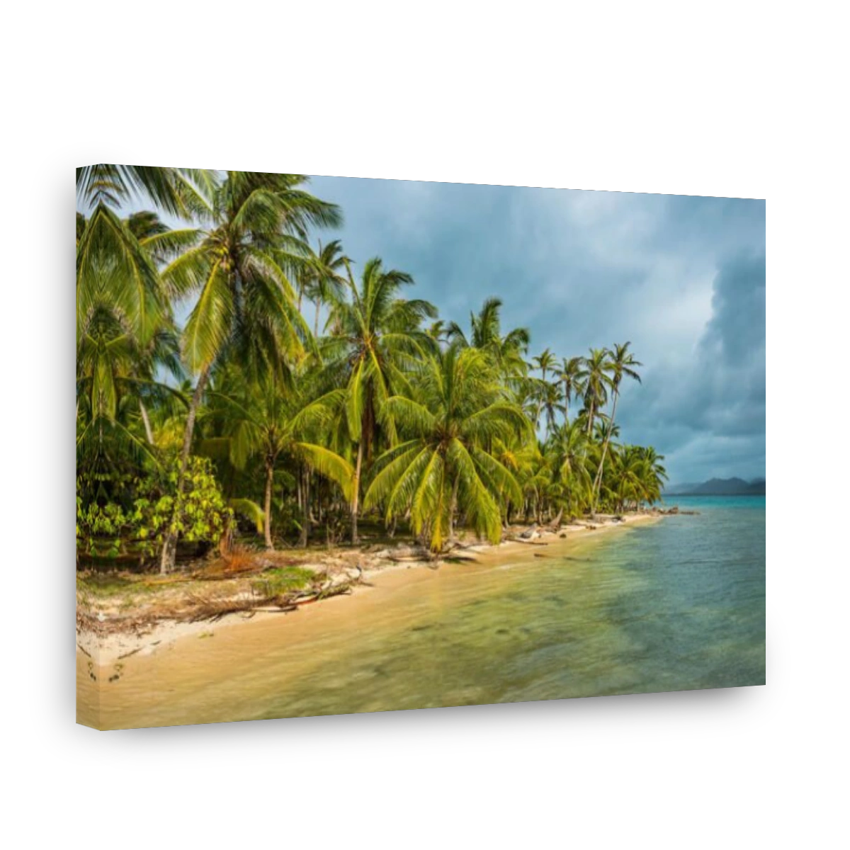Peaceful Tropical Beach in Panama