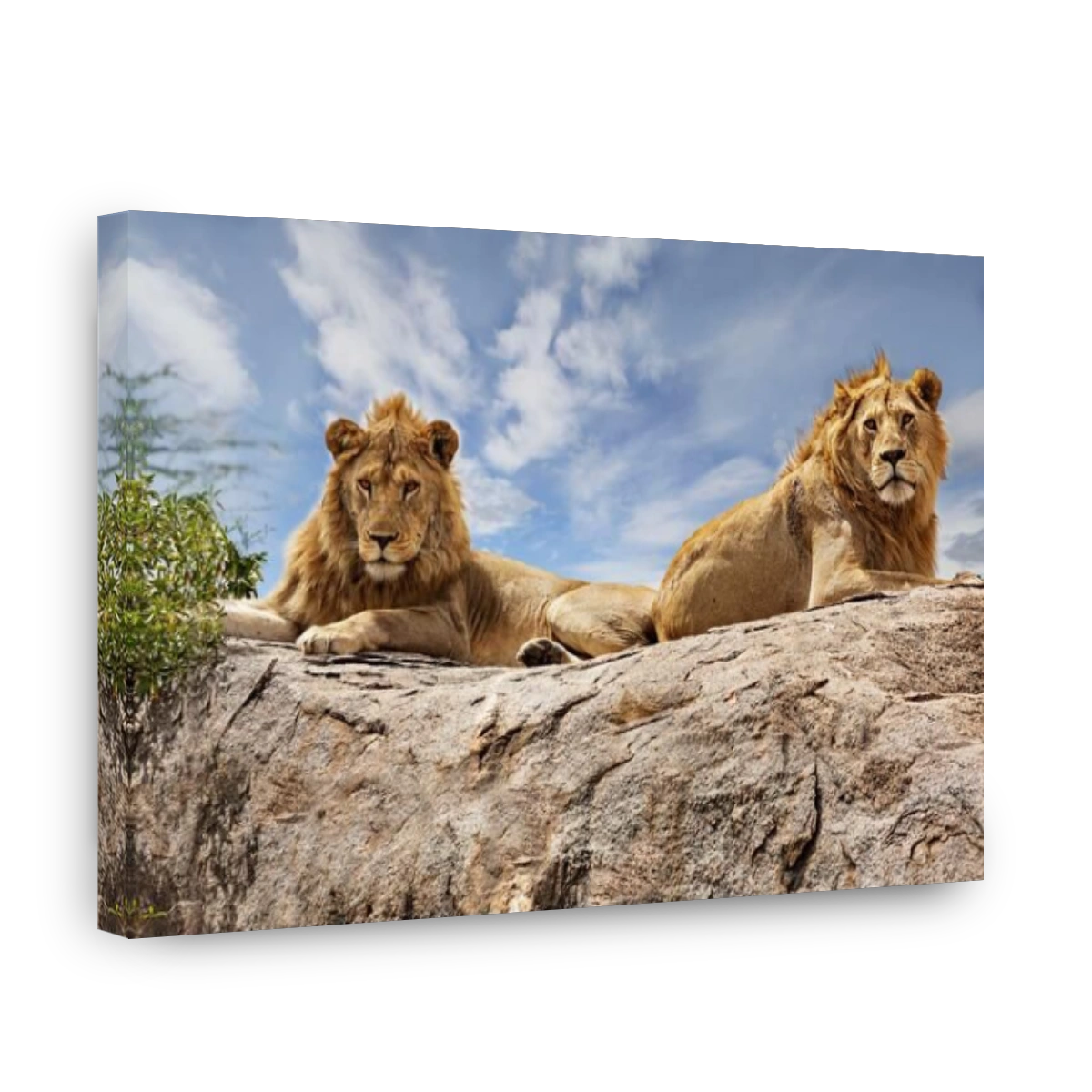 Lions on top of the rock in Serengeti, Tanzania