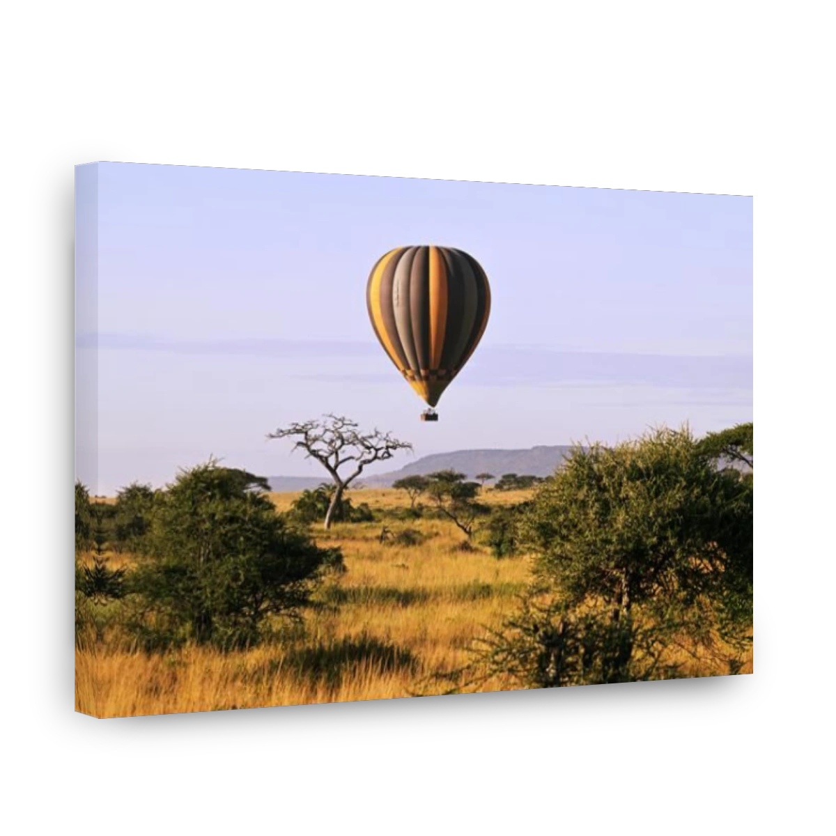 Hot air balloon ride over the Serengeti National Park, Tanzania