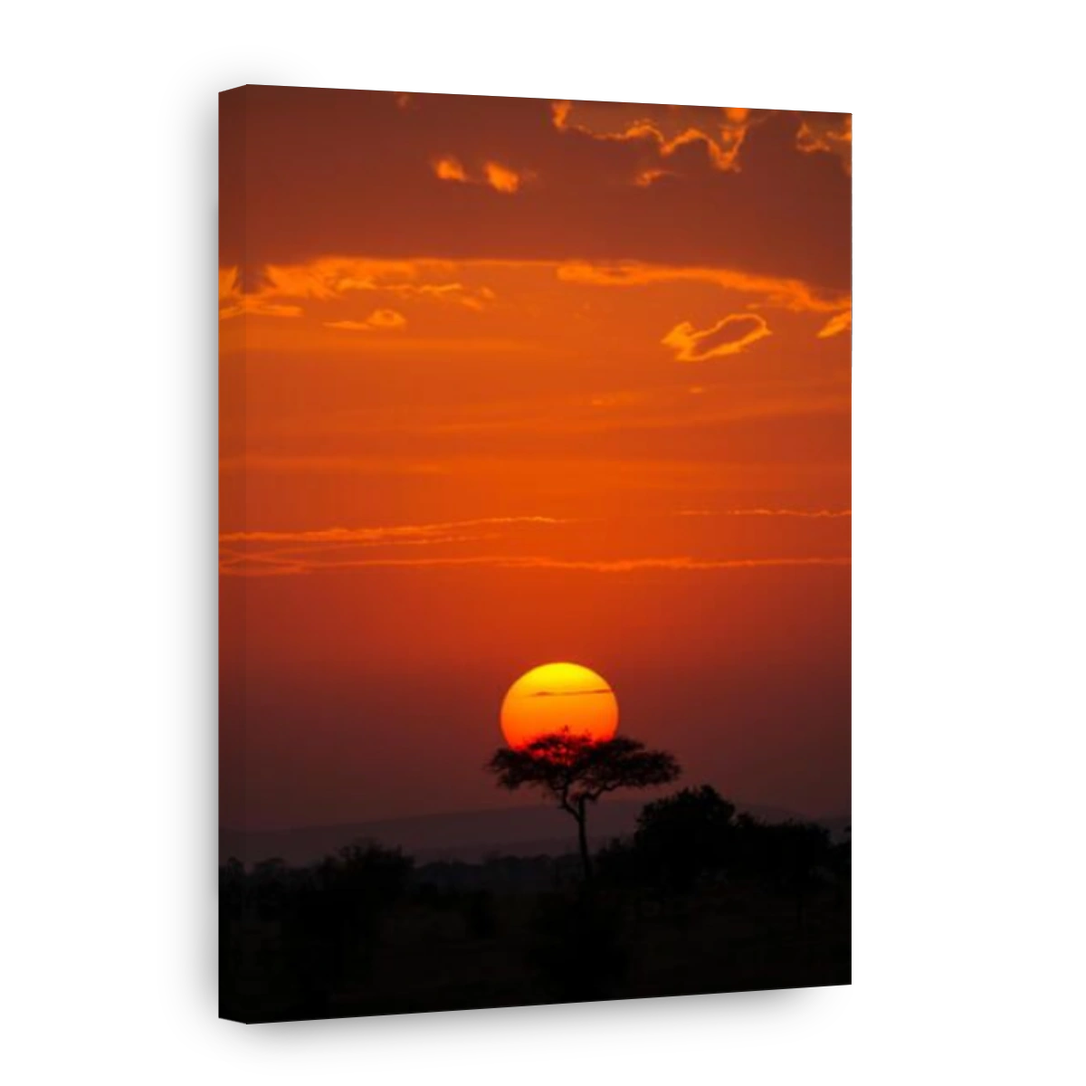 Serengeti National Park, Tanzania