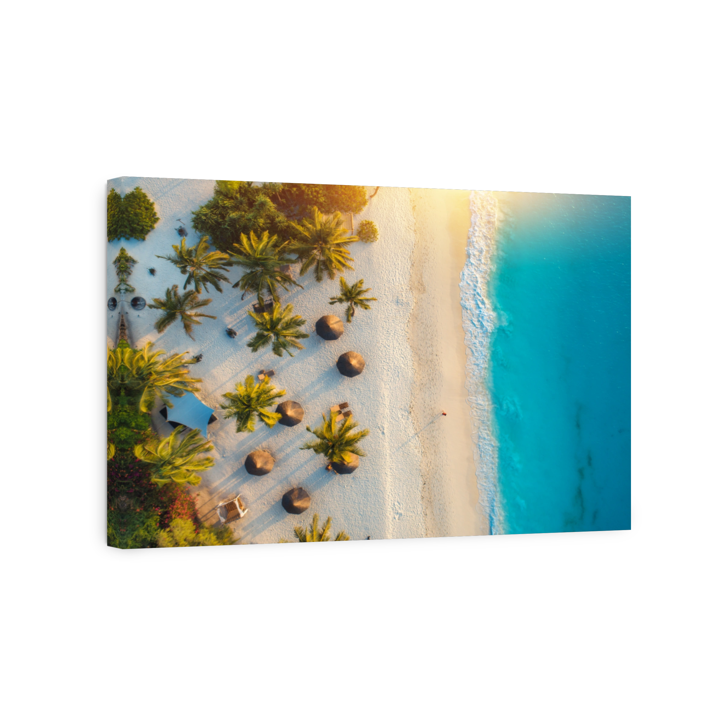 Aerial view of umbrellas, palms on the sandy beach of Indian Ocean at sunset. Summer holiday in Zanzibar, Africa. Tropical landscape with palm trees, parasols, white sand, blue water, waves. Top view