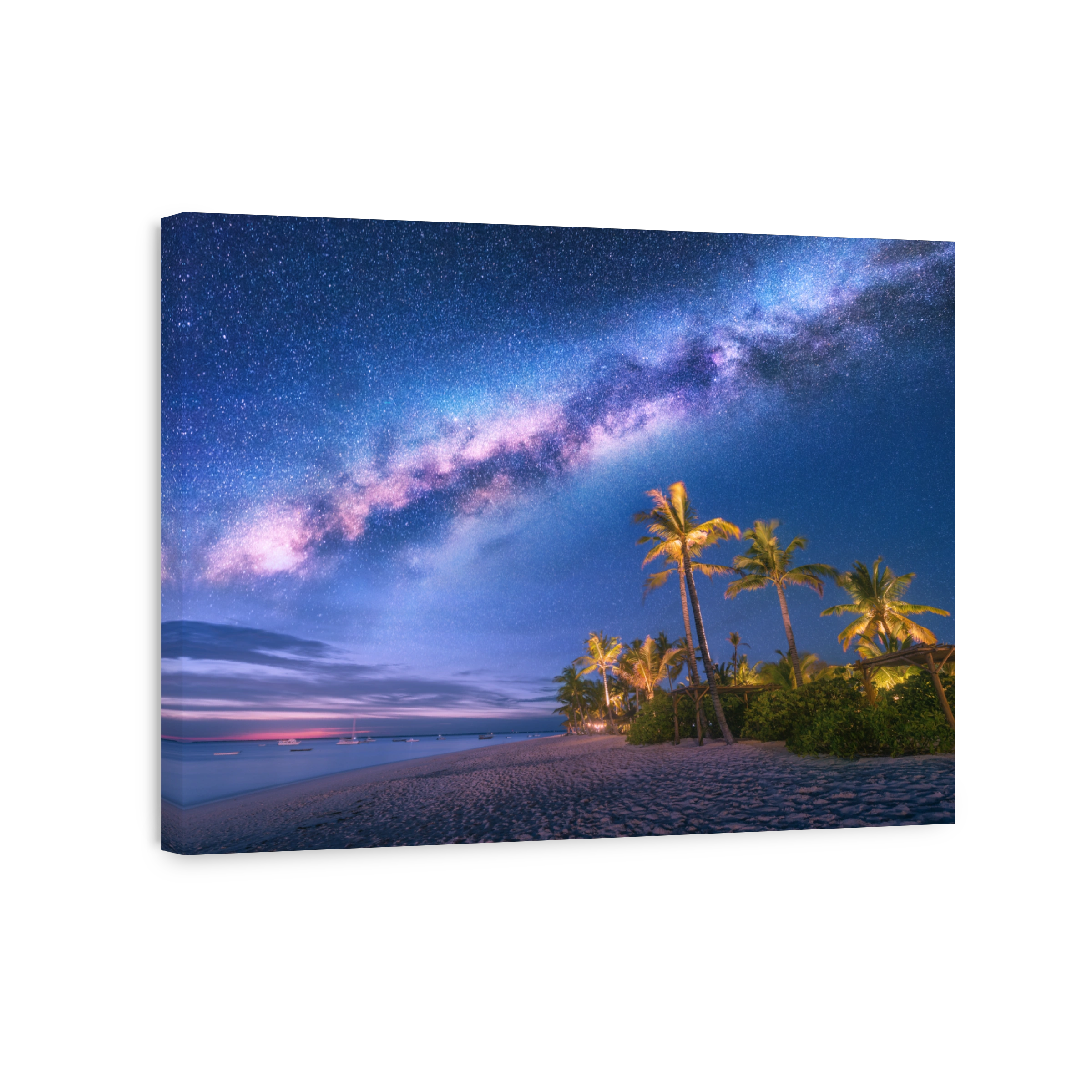 Milky Way over the sandy beach with palm trees
