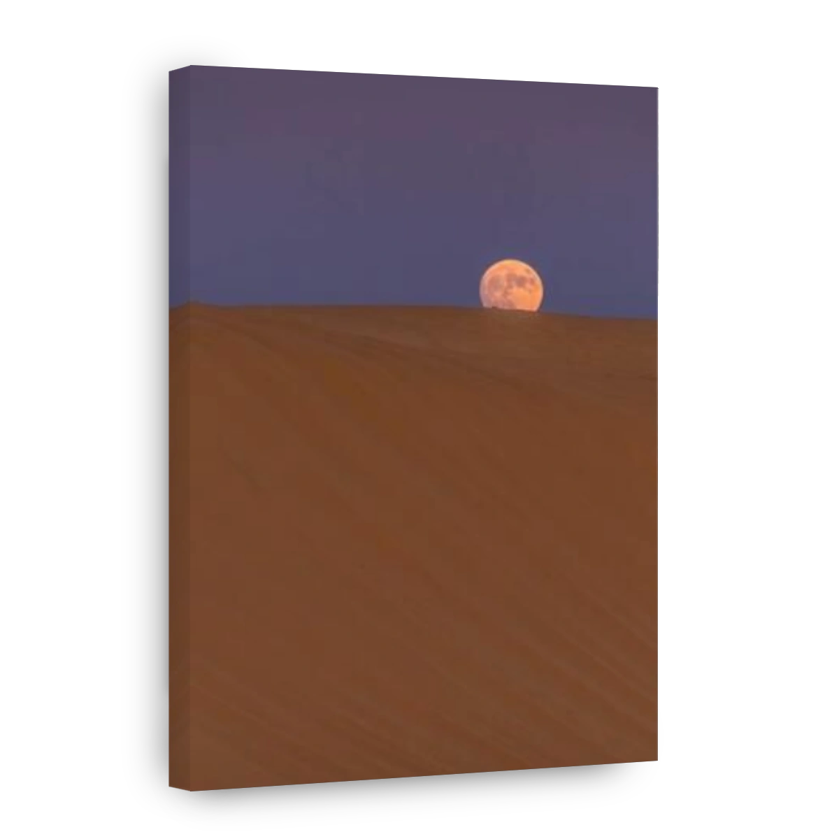 The bright full moon rising over the sandy dune during the evening in Sahara desert in Southern Tunisia.